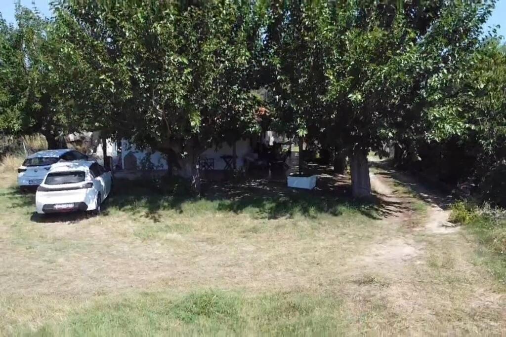 Вилла Maria'S House Сикия Экстерьер фото